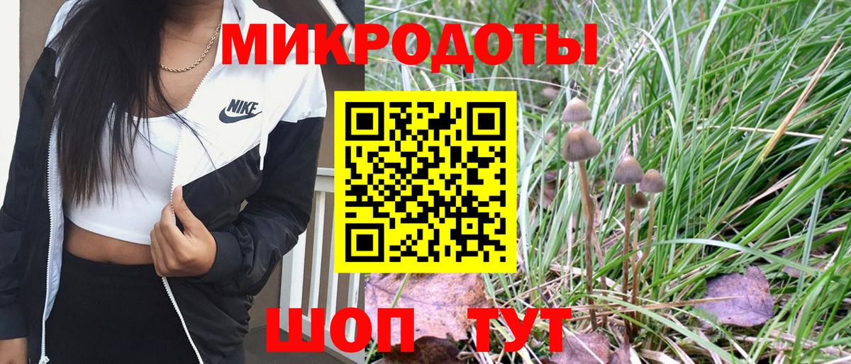 Коркино  наркота  Вход с VPN  Галлюциногенные грибы Psilocybine cubensis 